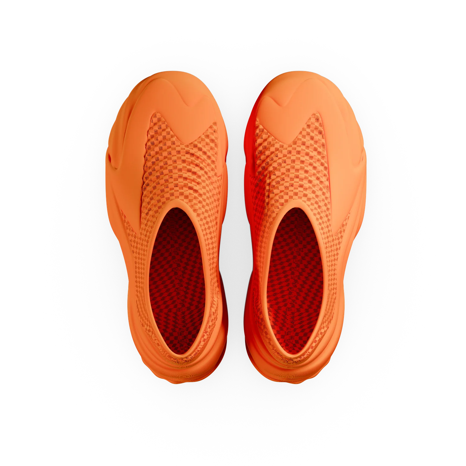 Nami - Image 21