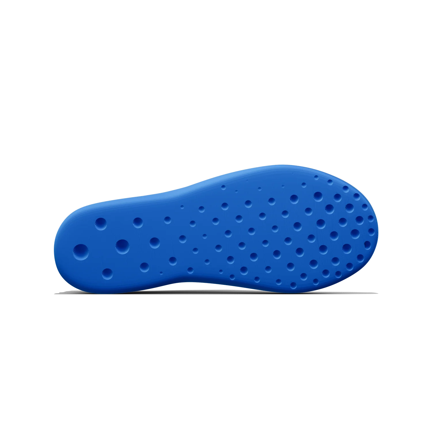 Paca - Image 22